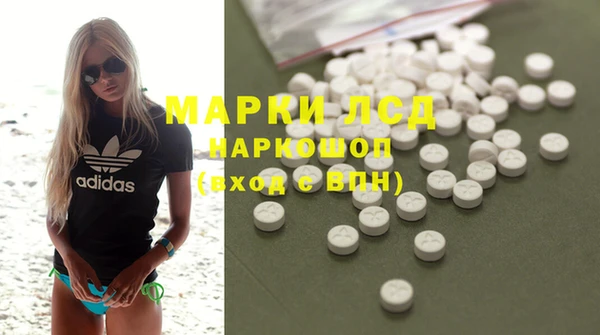 spice Аркадак