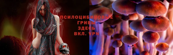 spice Аркадак