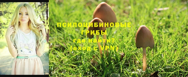 spice Аркадак