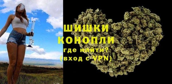 spice Аркадак